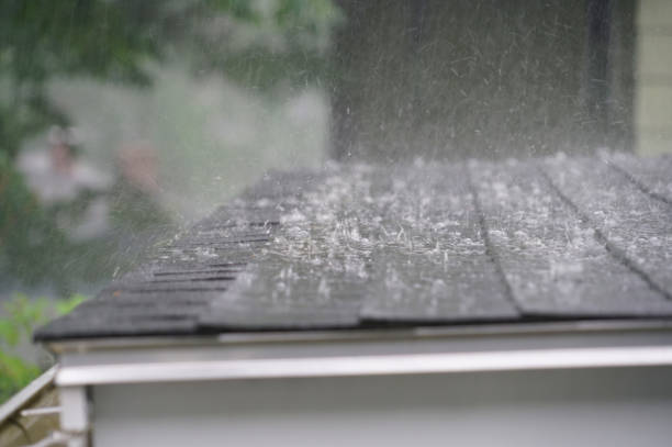 Best Roof Leak Repair  in St John, IN