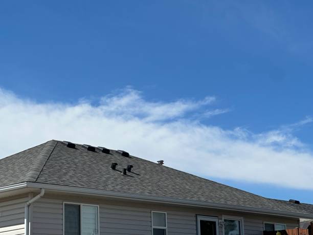 Best Gutter Installation and Repair  in St John, IN